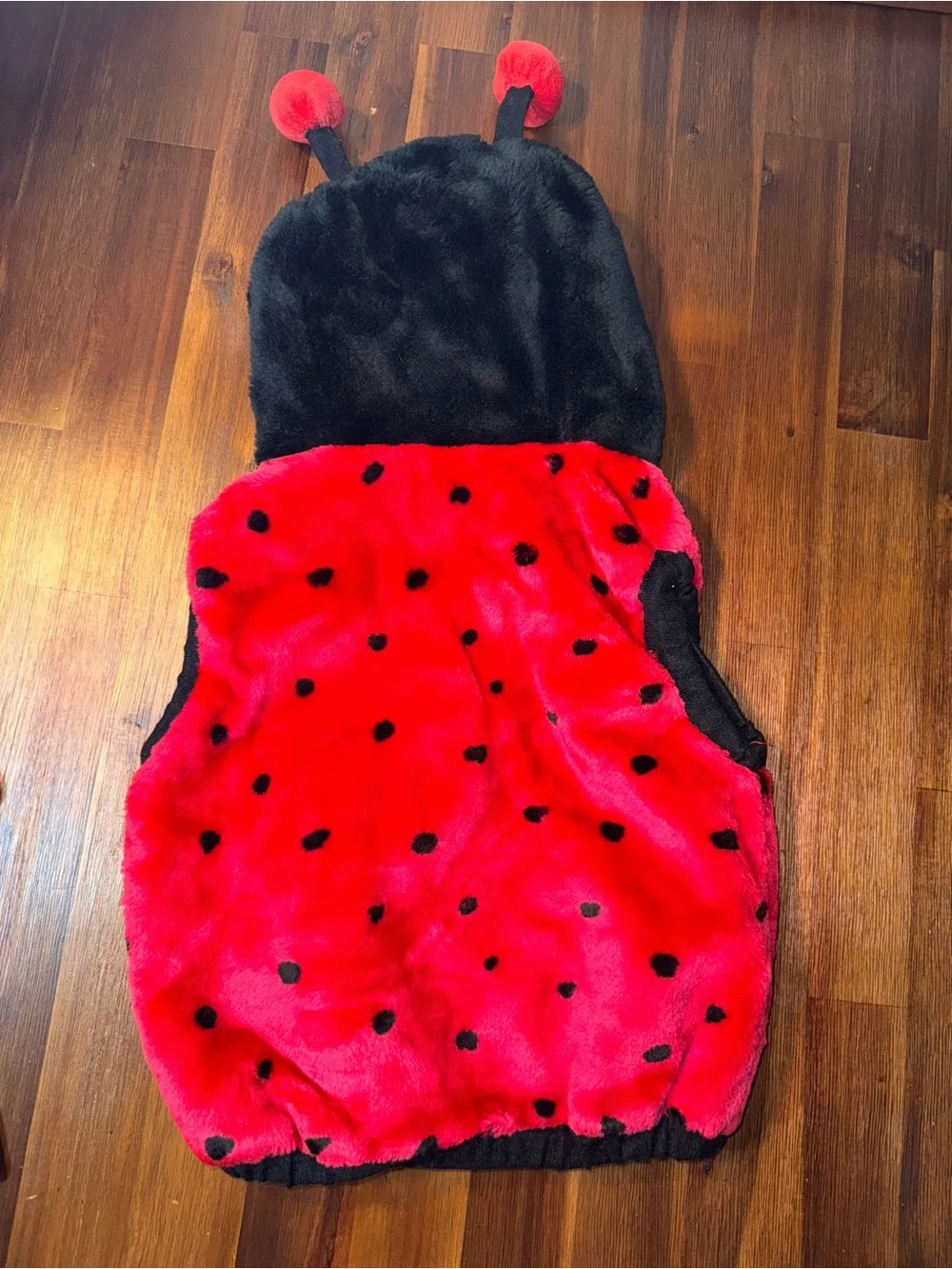 Toddler 24 Months Plush Ladybug Halloween Costume With Hood & Antennas